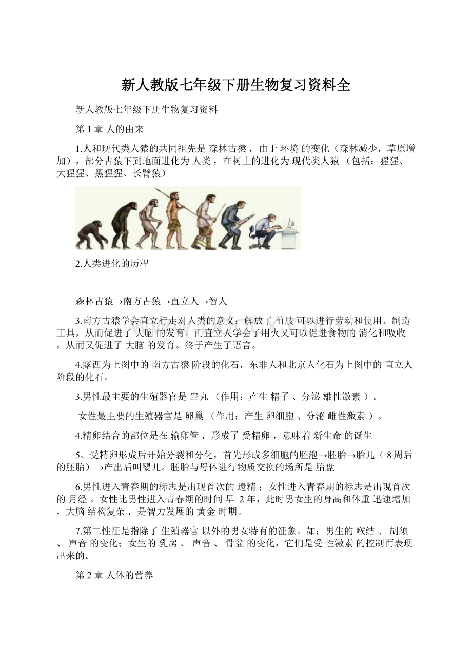 新人教版七年级下册生物复习资料全Word格式.docx_第1页