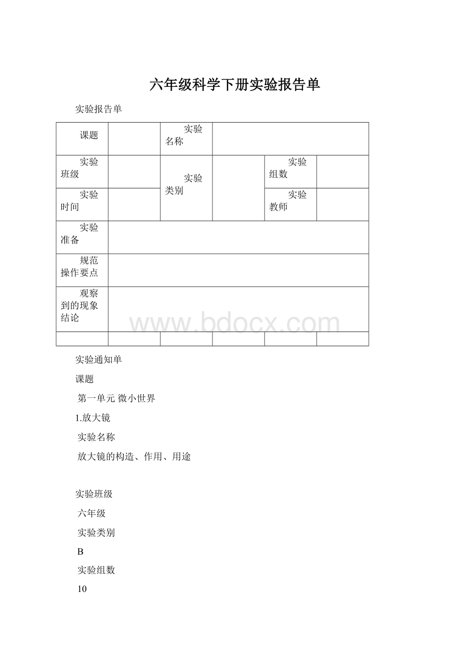 六年级科学下册实验报告单Word文档格式.docx