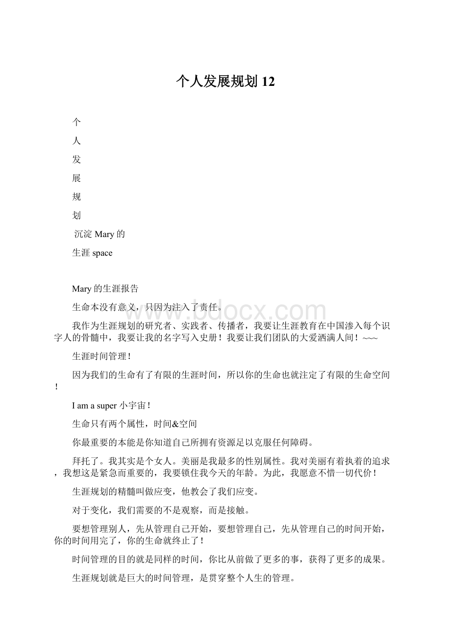 个人发展规划12文档格式.docx