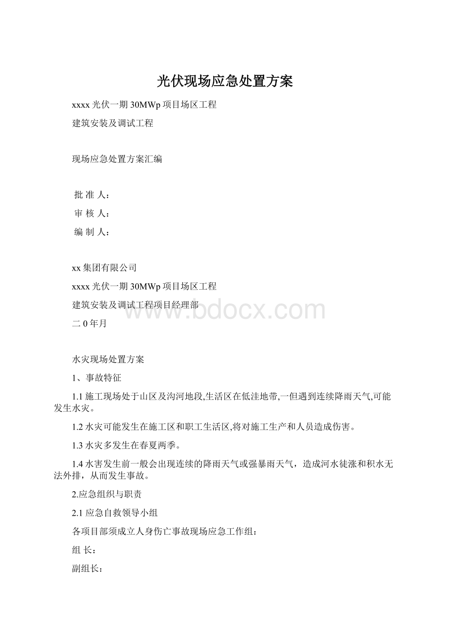 光伏现场应急处置方案Word文档格式.docx_第1页