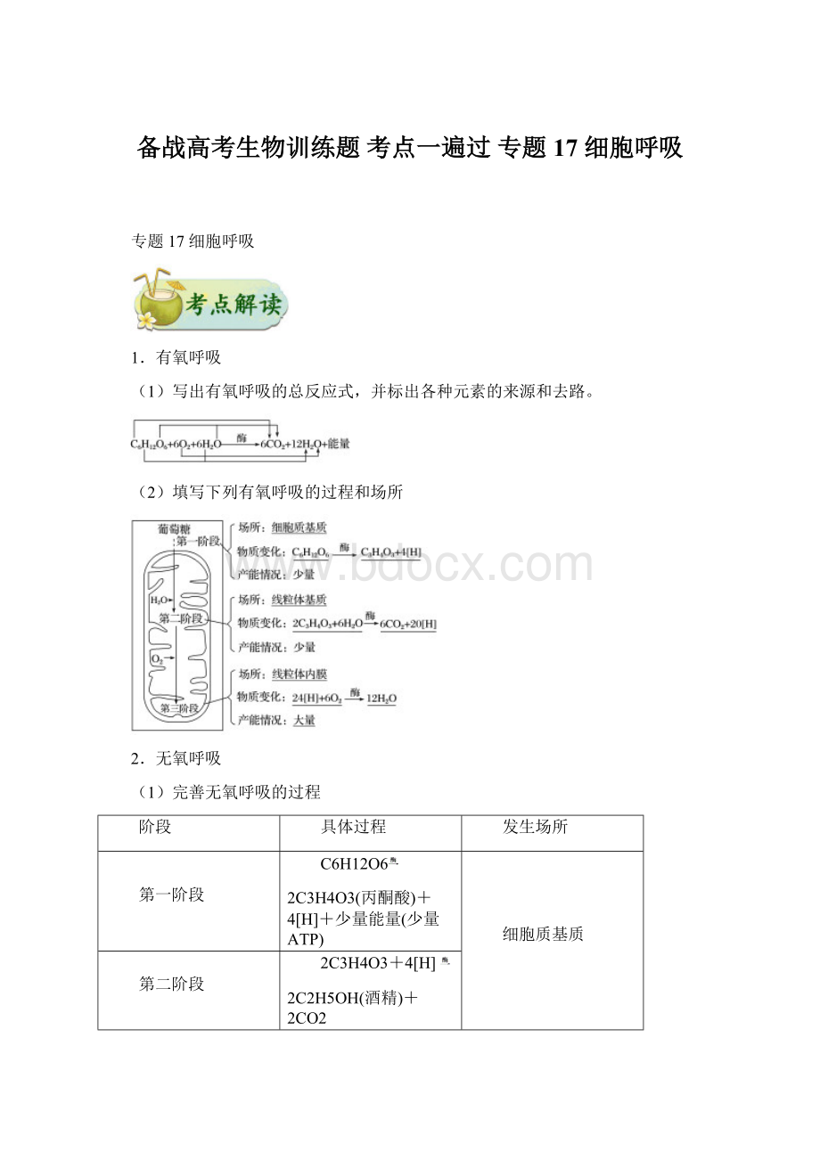 备战高考生物训练题 考点一遍过 专题17 细胞呼吸Word格式文档下载.docx