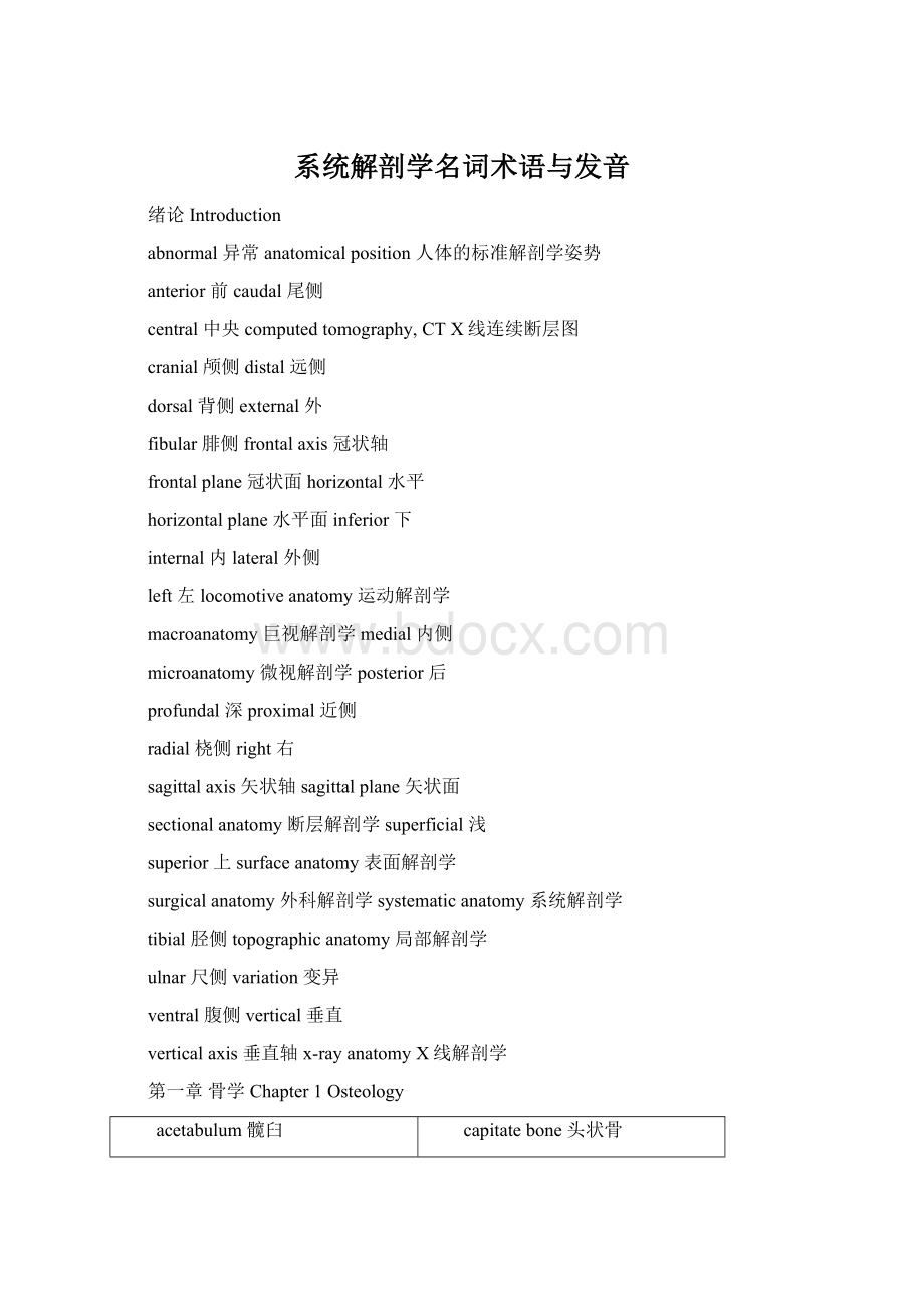 系统解剖学名词术语与发音.docx