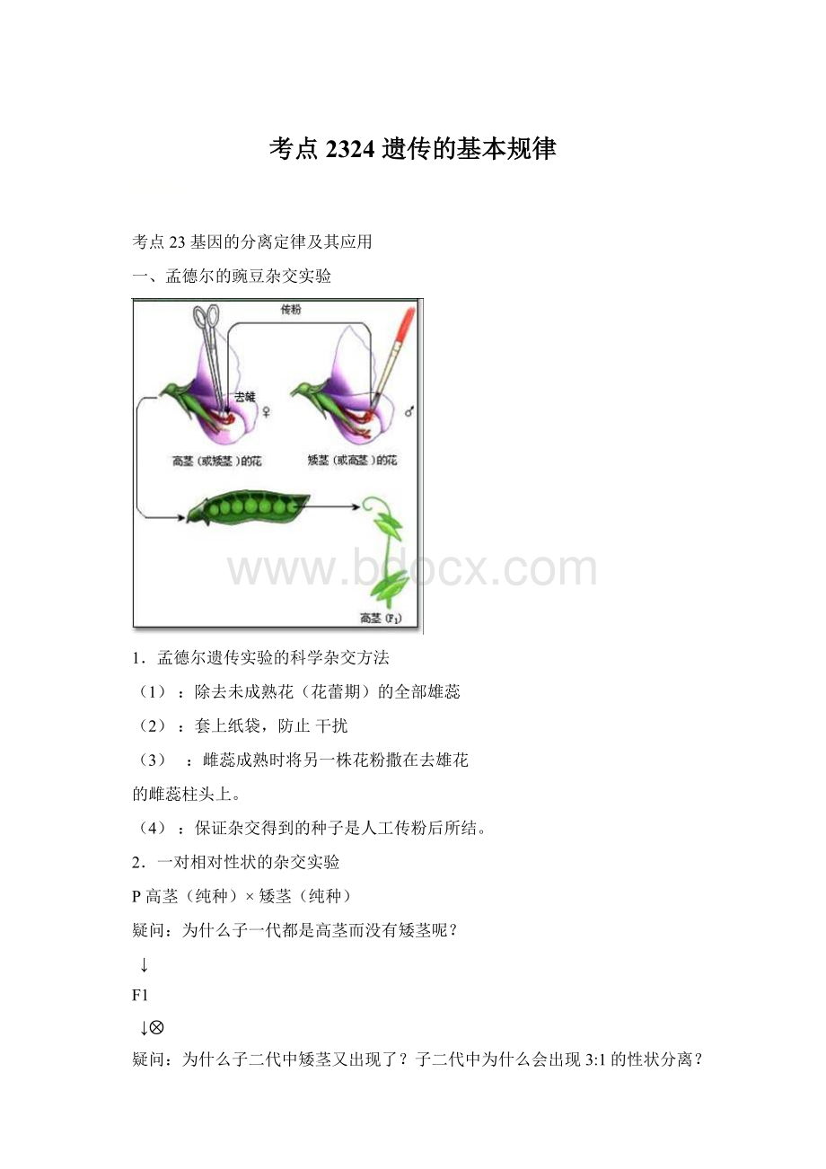 考点2324 遗传的基本规律Word文档格式.docx_第1页