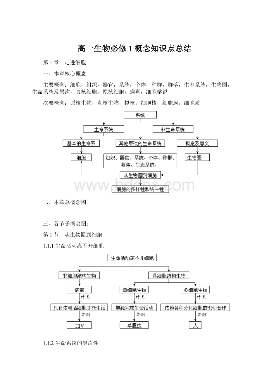 高一生物必修1概念知识点总结Word文件下载.docx