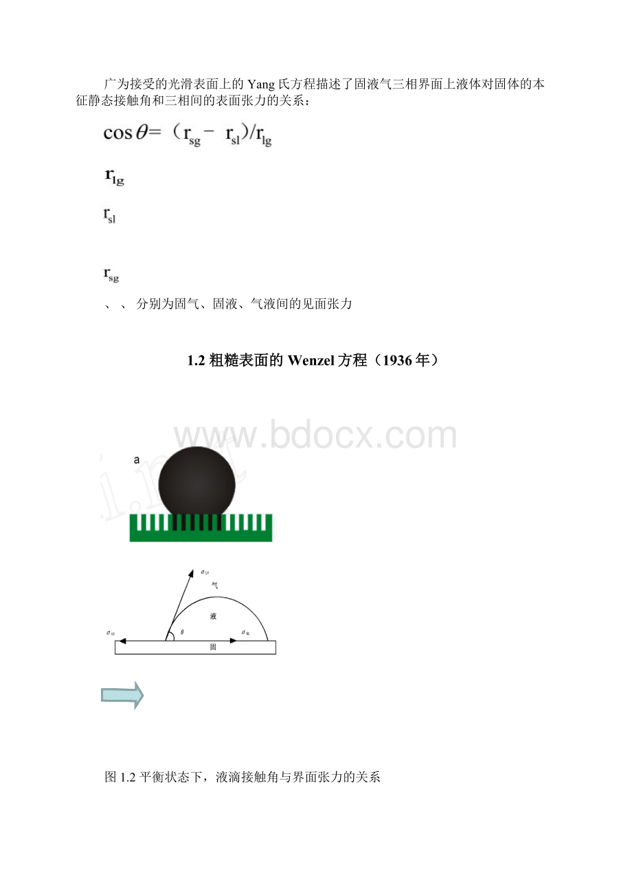 荷叶表面超疏水性的研究及仿生资料.docx_第3页