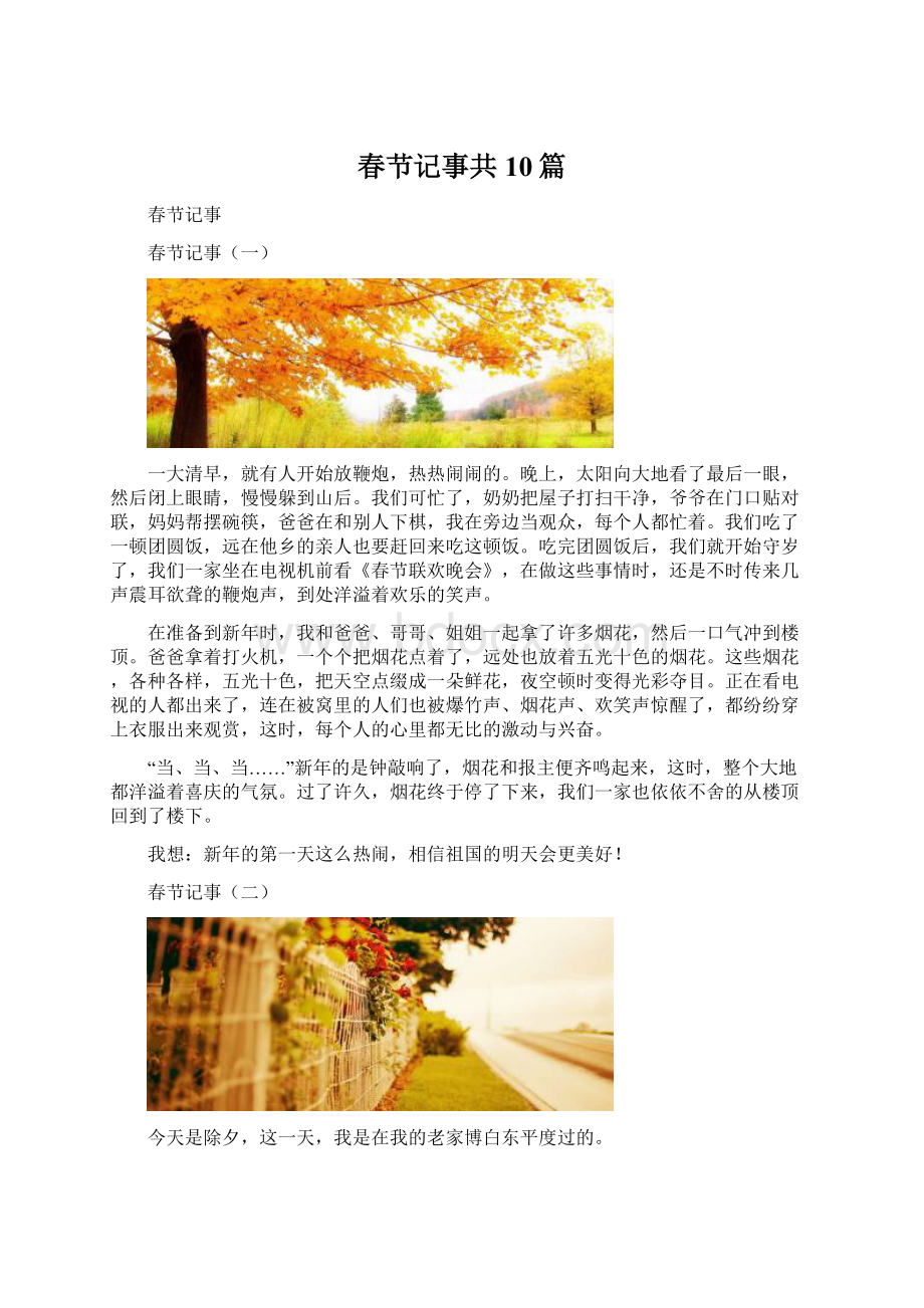 春节记事共10篇Word格式.docx_第1页