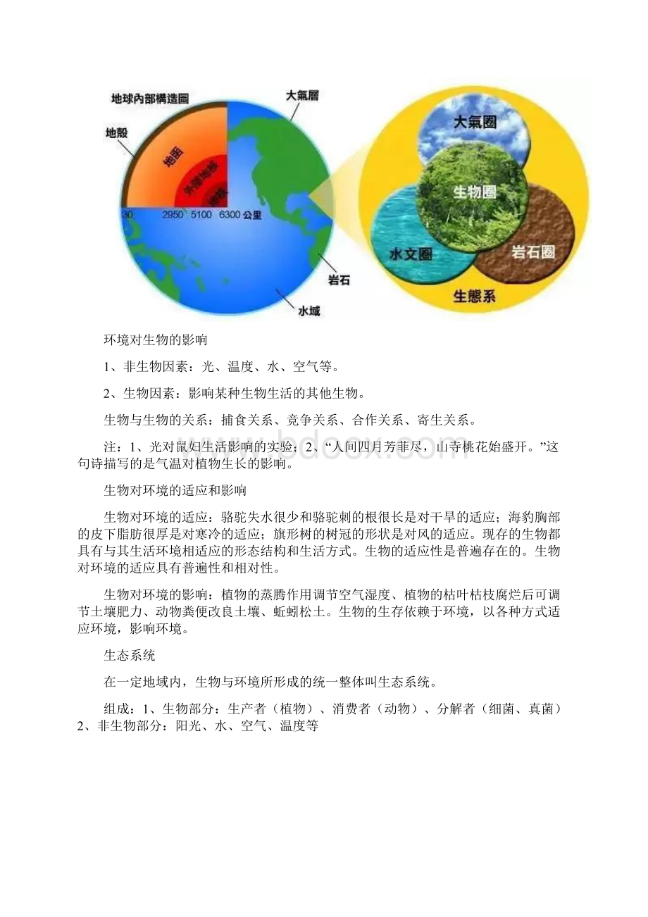 精选初中生物知识点总结Word格式.docx_第2页