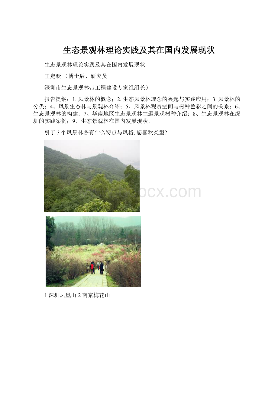 生态景观林理论实践及其在国内发展现状.docx_第1页