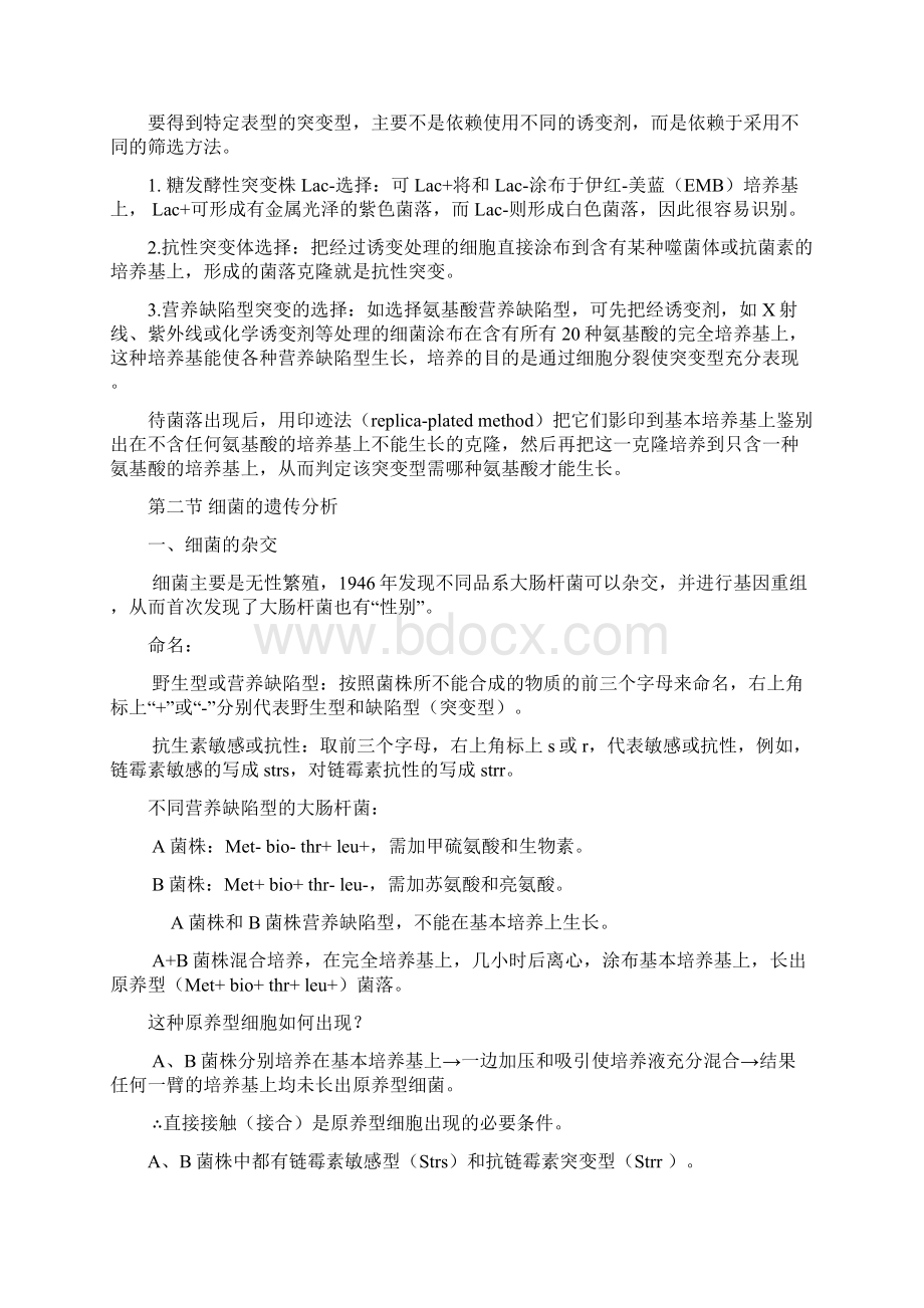 第六章细菌病毒文档格式.docx_第3页