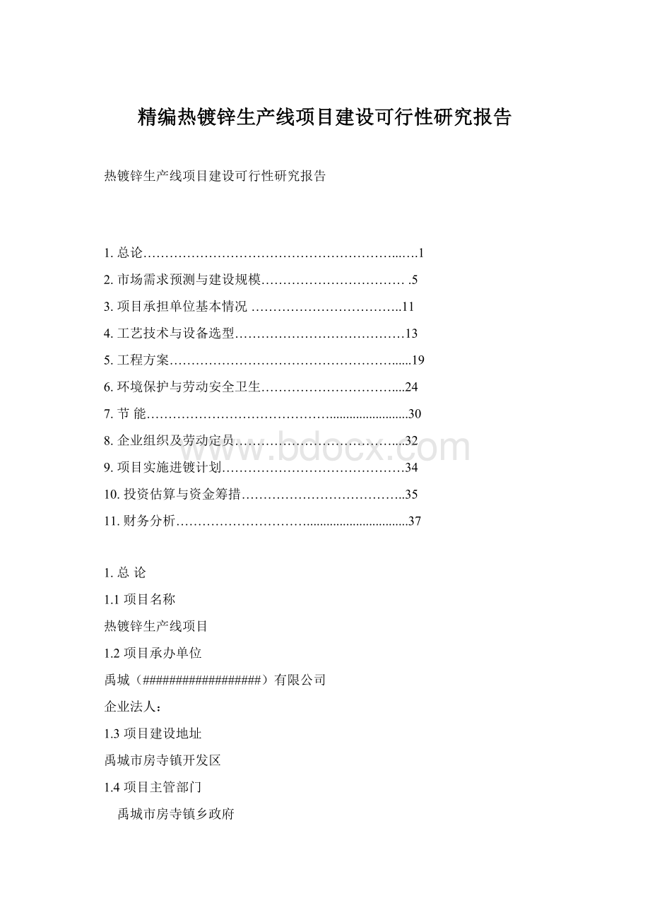 精编热镀锌生产线项目建设可行性研究报告.docx_第1页