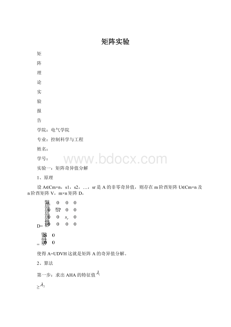 矩阵实验Word格式.docx