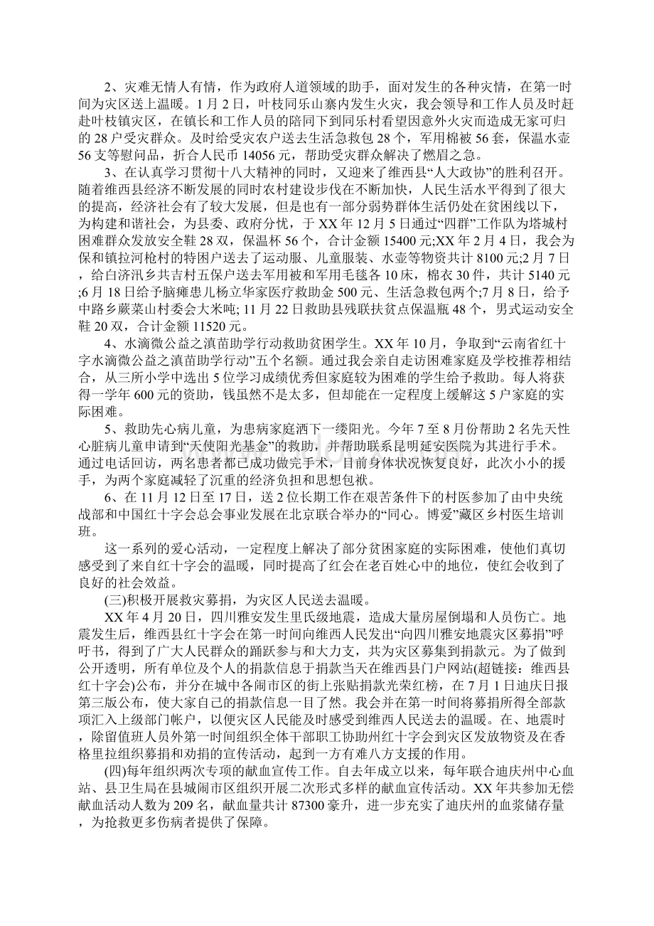 红十字工作总结和工作思路.docx_第2页