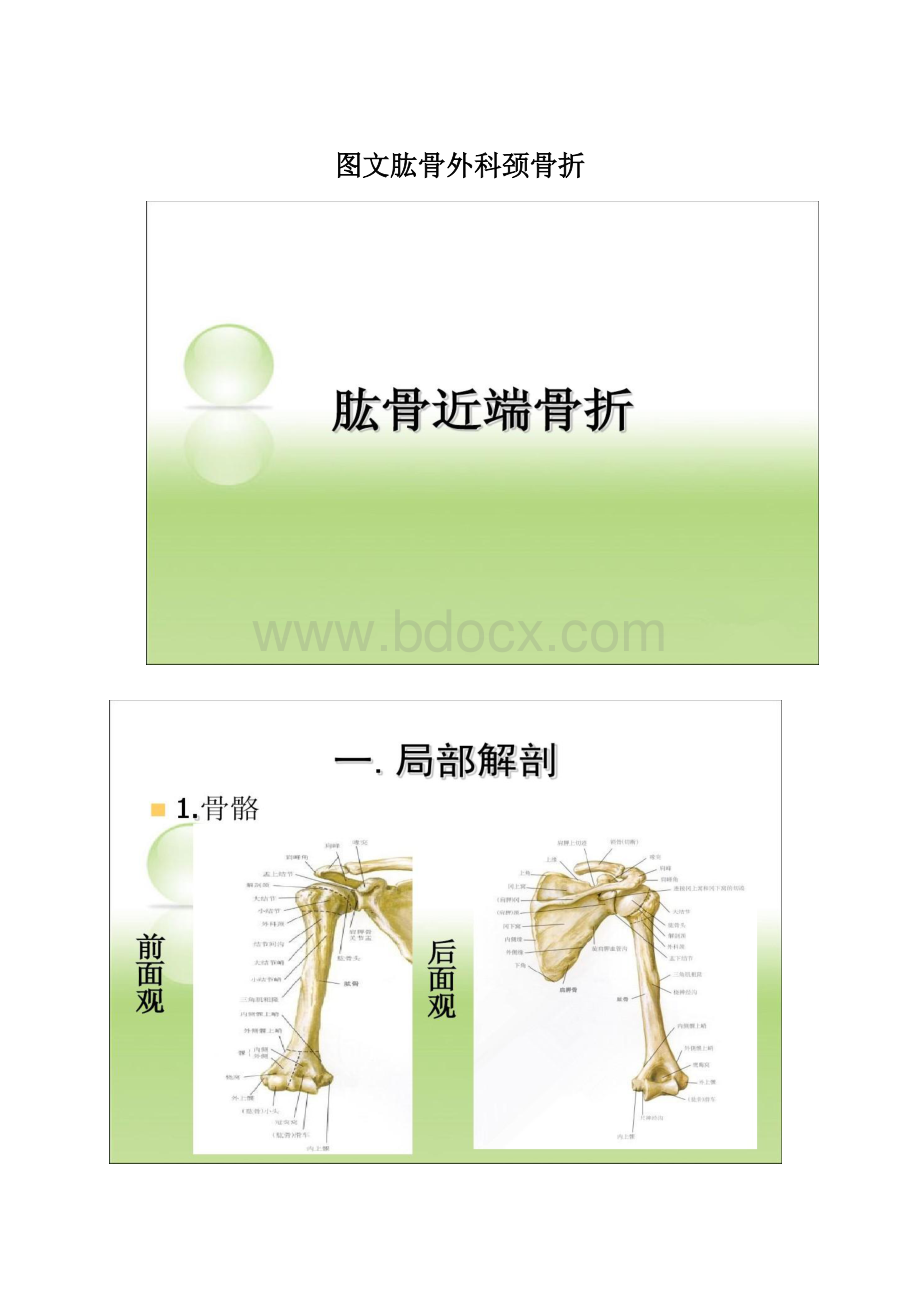 图文肱骨外科颈骨折.docx