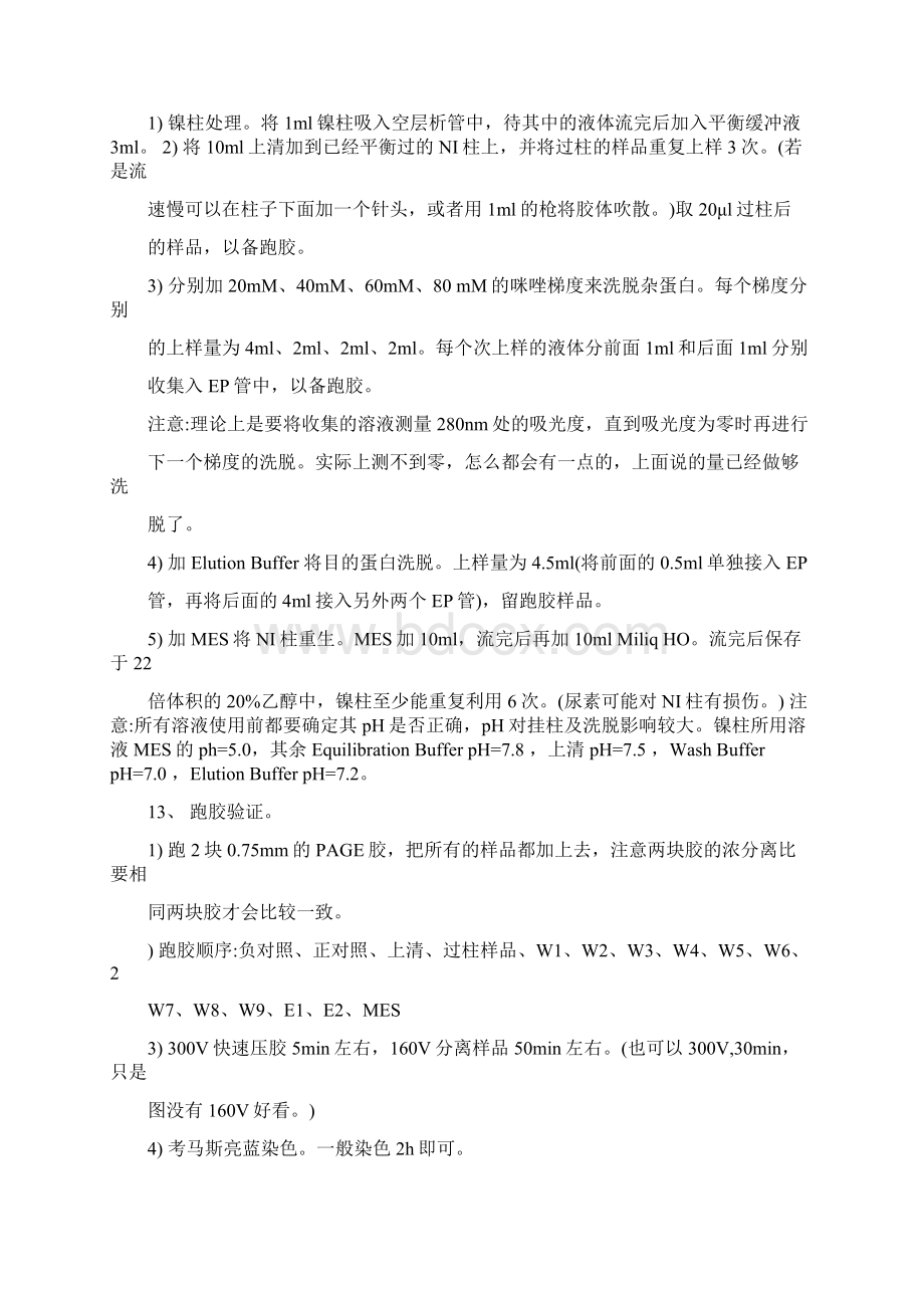 整理蛋白表达纯化实验步骤.docx_第3页