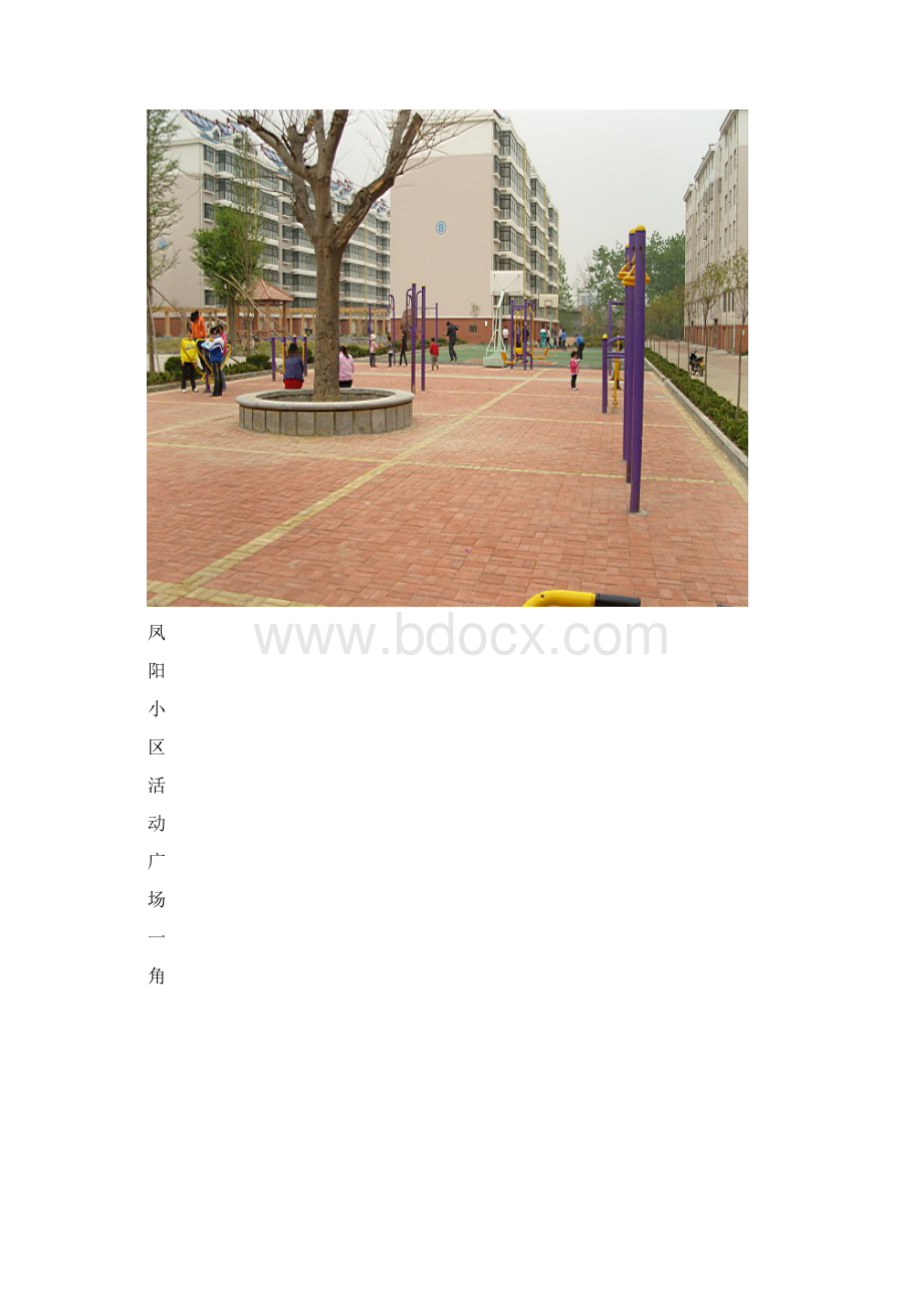 凤阳路社区创建国家级生态村申报材料.docx_第2页