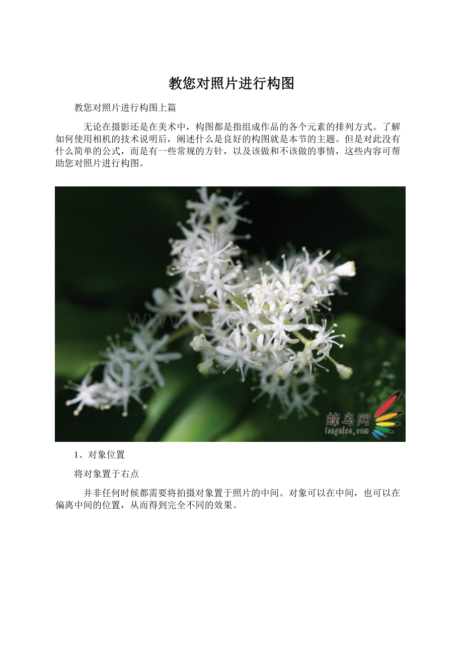 教您对照片进行构图Word文档格式.docx