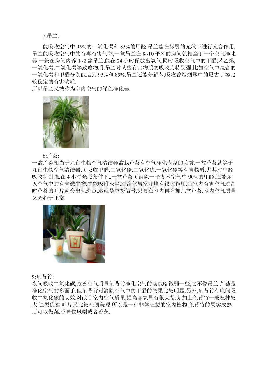 适宜养在室内十种绿叶植物.docx_第3页