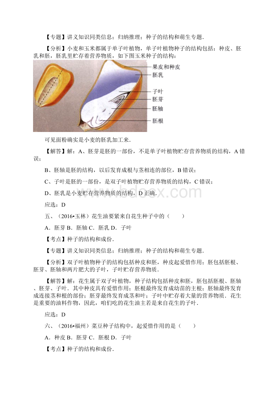 全国中考生物试题专题练习绿色开花植物的一生Word文件下载.docx_第3页