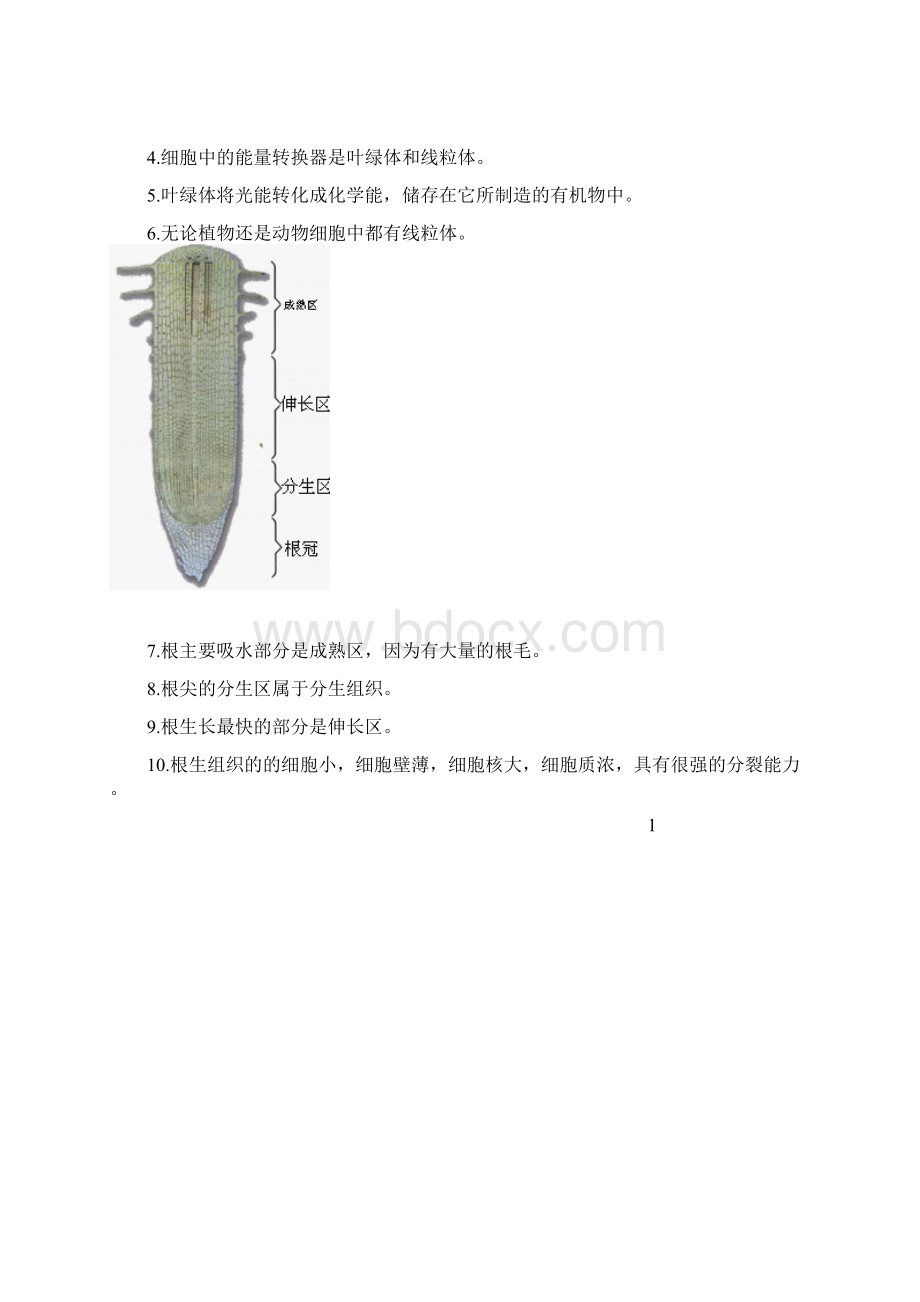 生物会考复习资料Word格式文档下载.docx_第2页