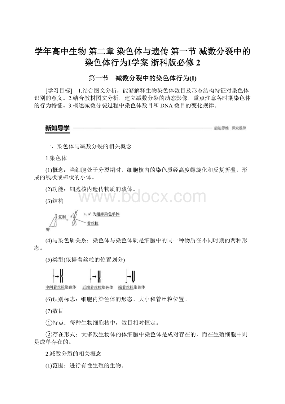 学年高中生物 第二章 染色体与遗传 第一节 减数分裂中的染色体行为Ⅰ学案 浙科版必修2.docx_第1页