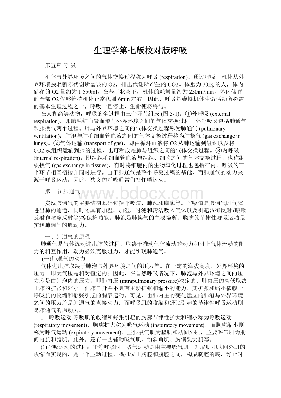 生理学第七版校对版呼吸Word文档格式.docx