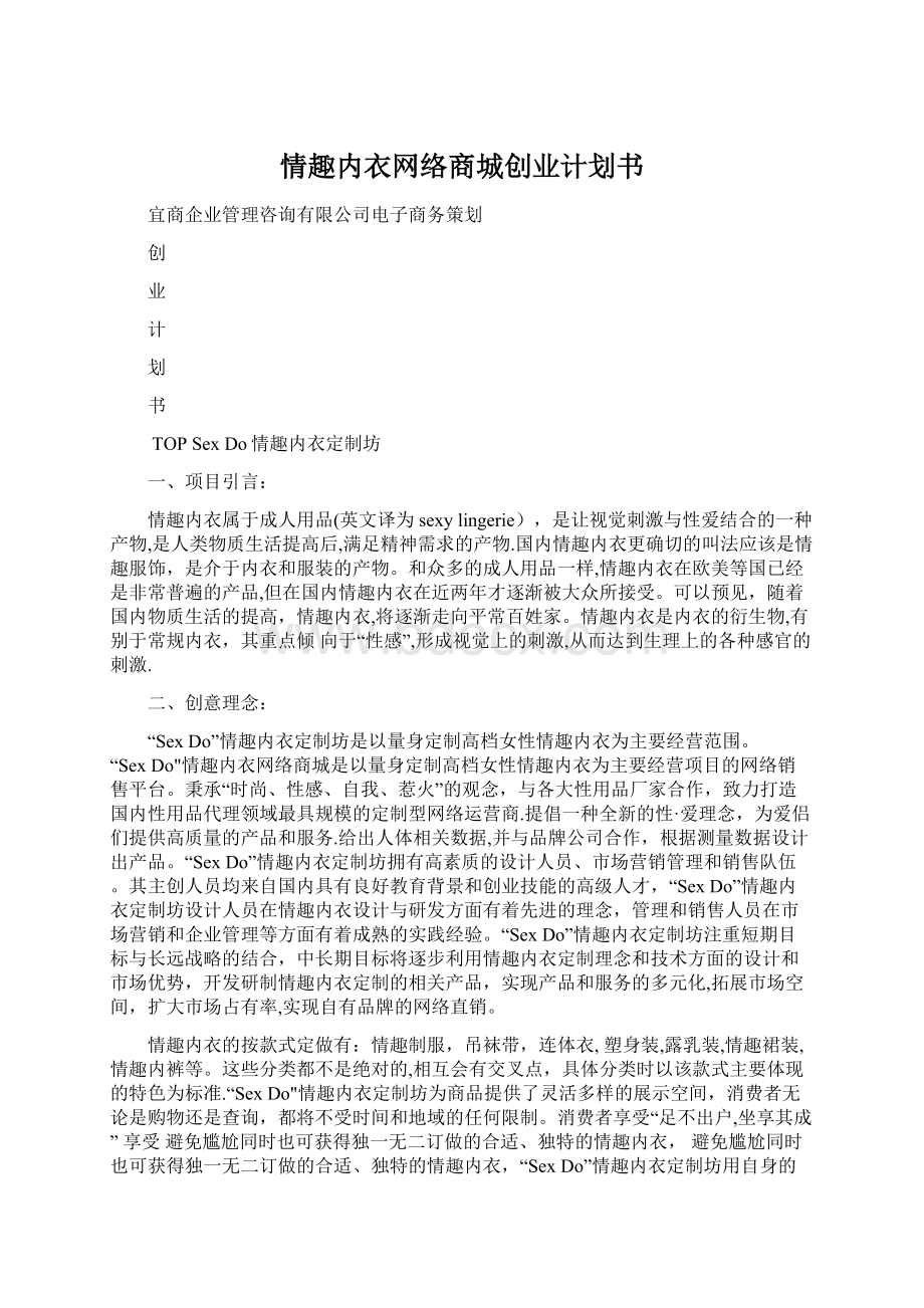 情趣内衣网络商城创业计划书.docx