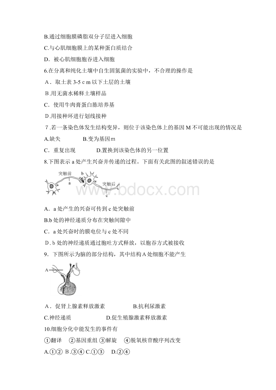 上海市虹口区届高三二模生物试题+Word版含答案.docx_第2页