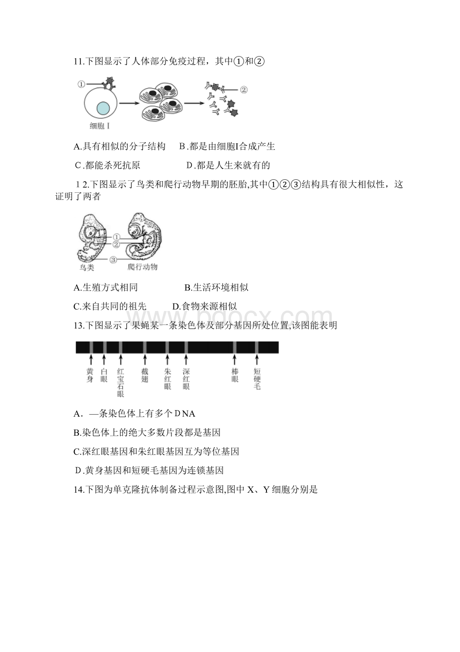 上海市虹口区届高三二模生物试题+Word版含答案.docx_第3页