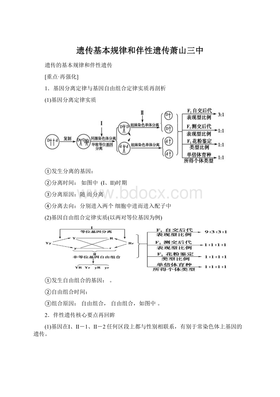 遗传基本规律和伴性遗传萧山三中.docx