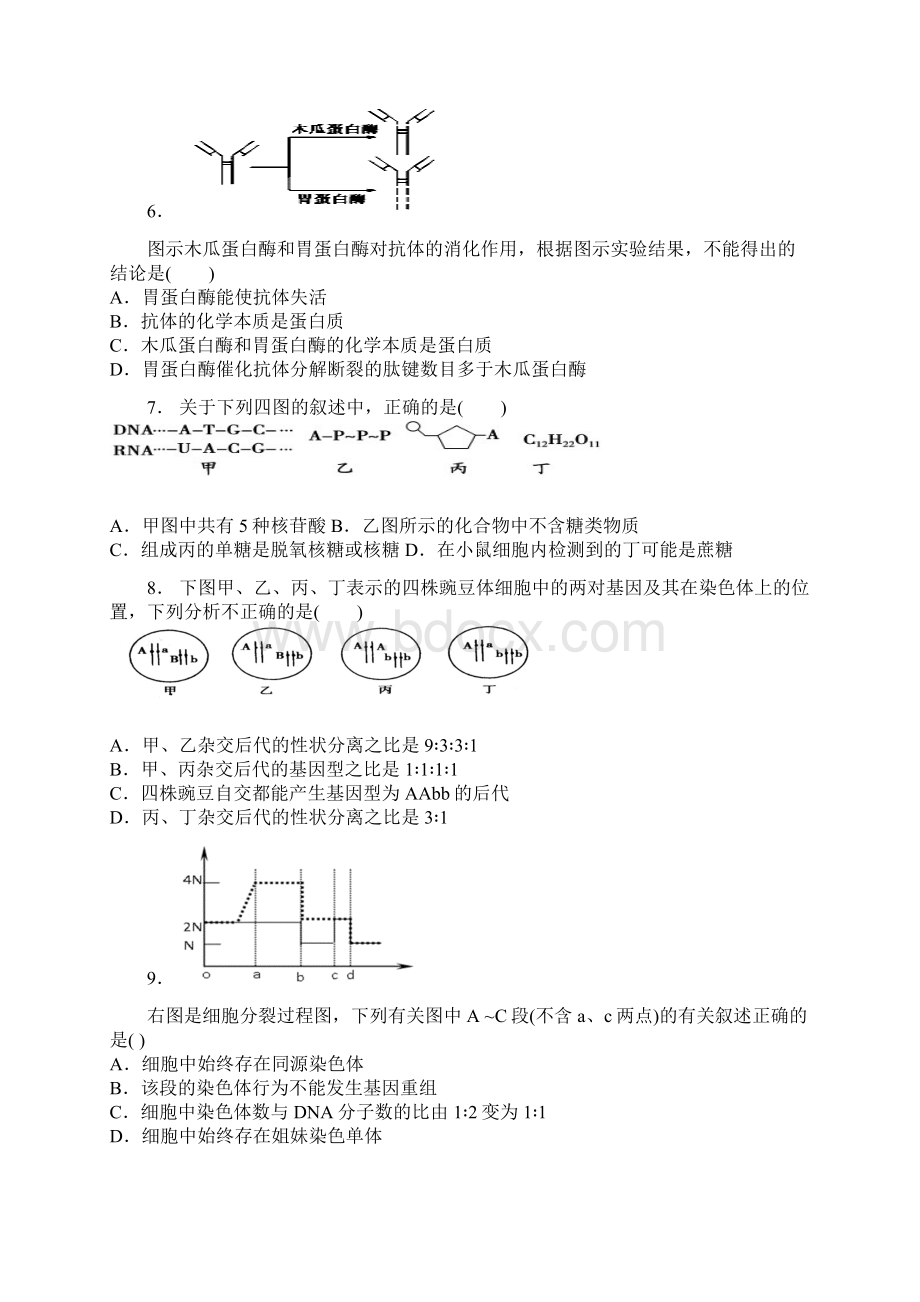 江西省南昌市学年高二生物上学期期末考试试题新人教版.docx_第2页