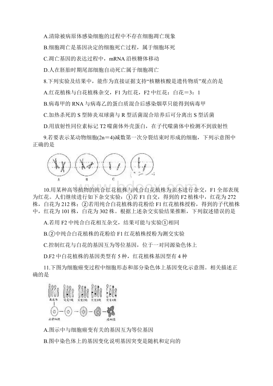 届贵州省贵阳市高三摸底考试 生物word版.docx_第3页