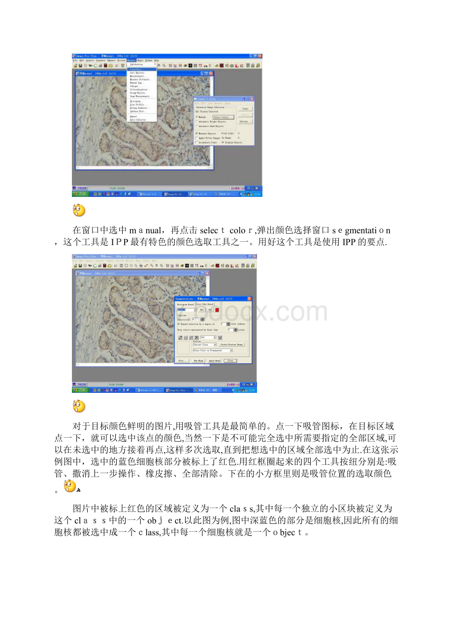 最新Imageproplus使用指南Word文档格式.docx_第3页