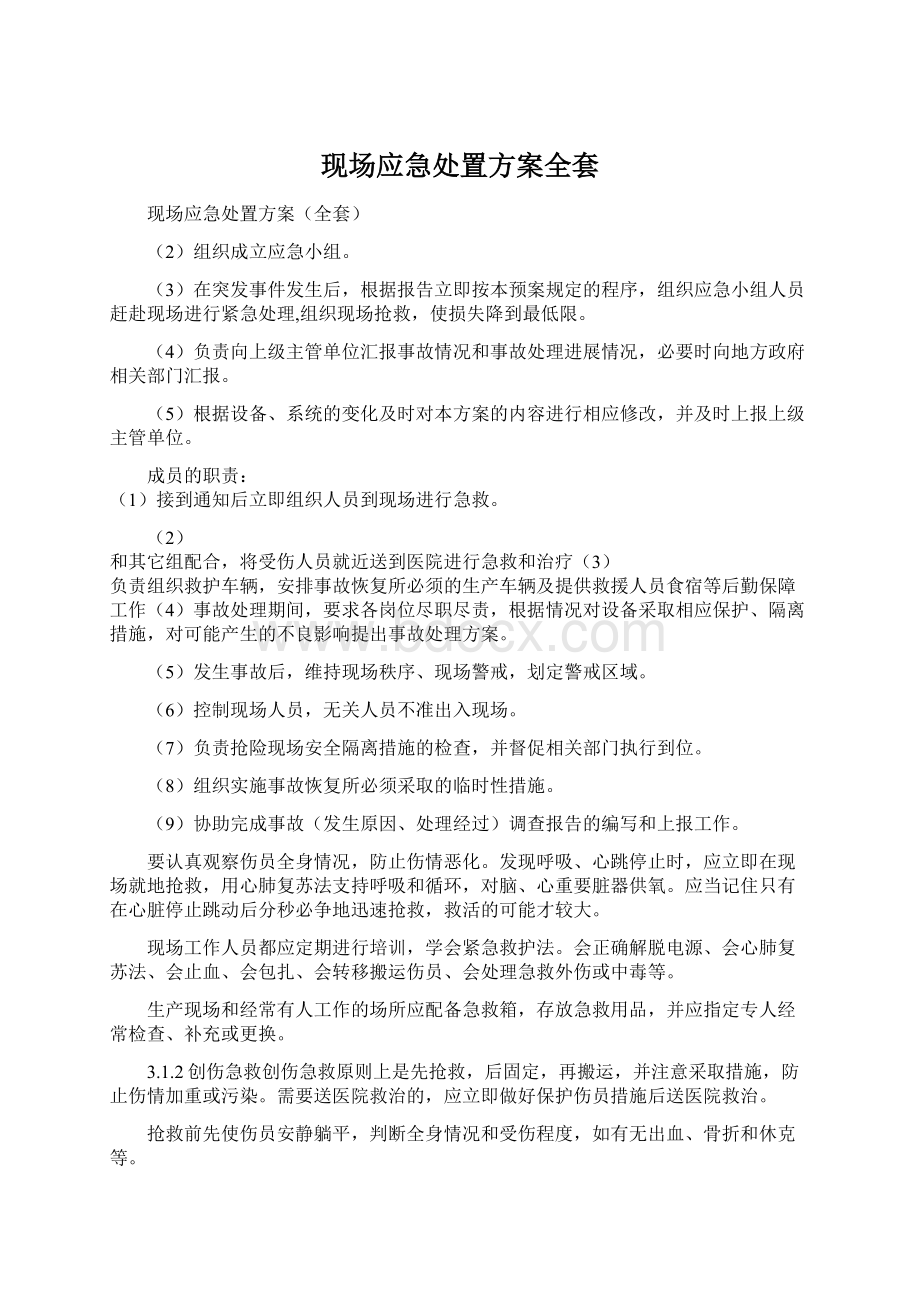 现场应急处置方案全套Word文档下载推荐.docx