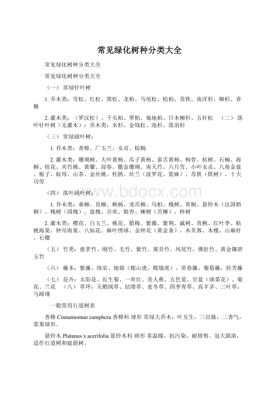 常见绿化树种分类大全Word文档格式.docx