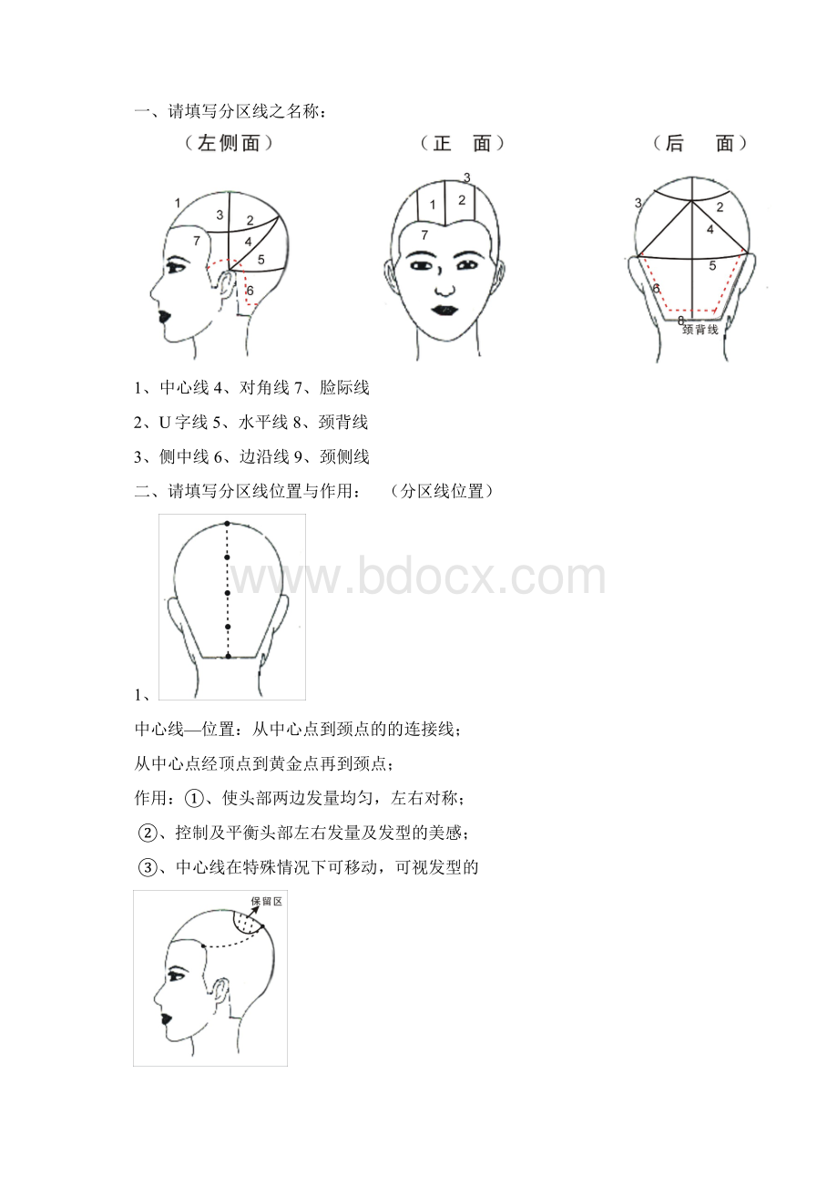 发型师必备美发基础点线面剪发知识文档格式.docx_第3页