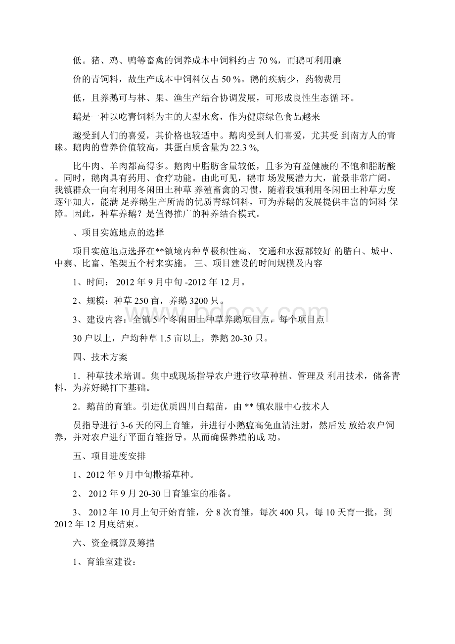 种草养鹅项目实施方案Word文档格式.docx_第3页