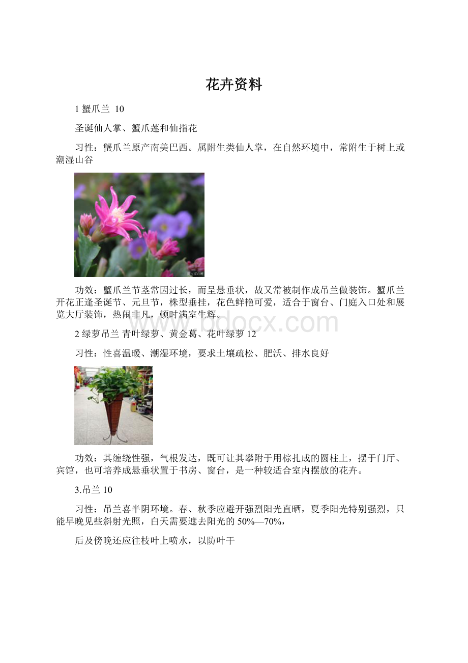 花卉资料Word文档下载推荐.docx