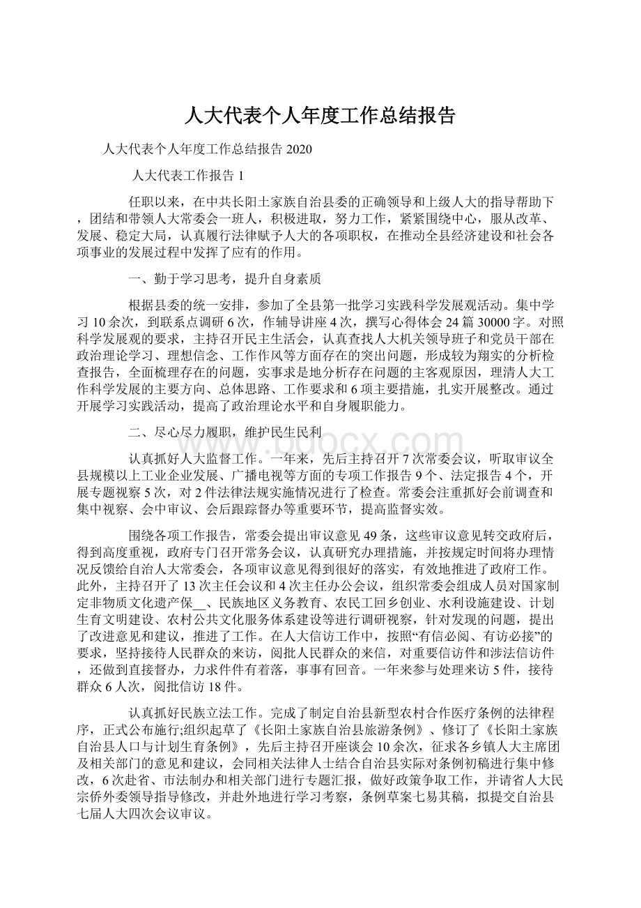 人大代表个人年度工作总结报告文档格式.docx