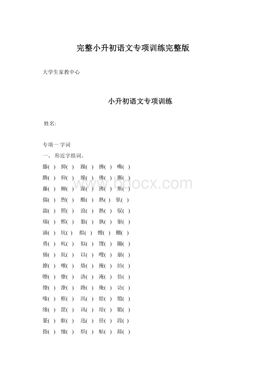 完整小升初语文专项训练完整版.docx