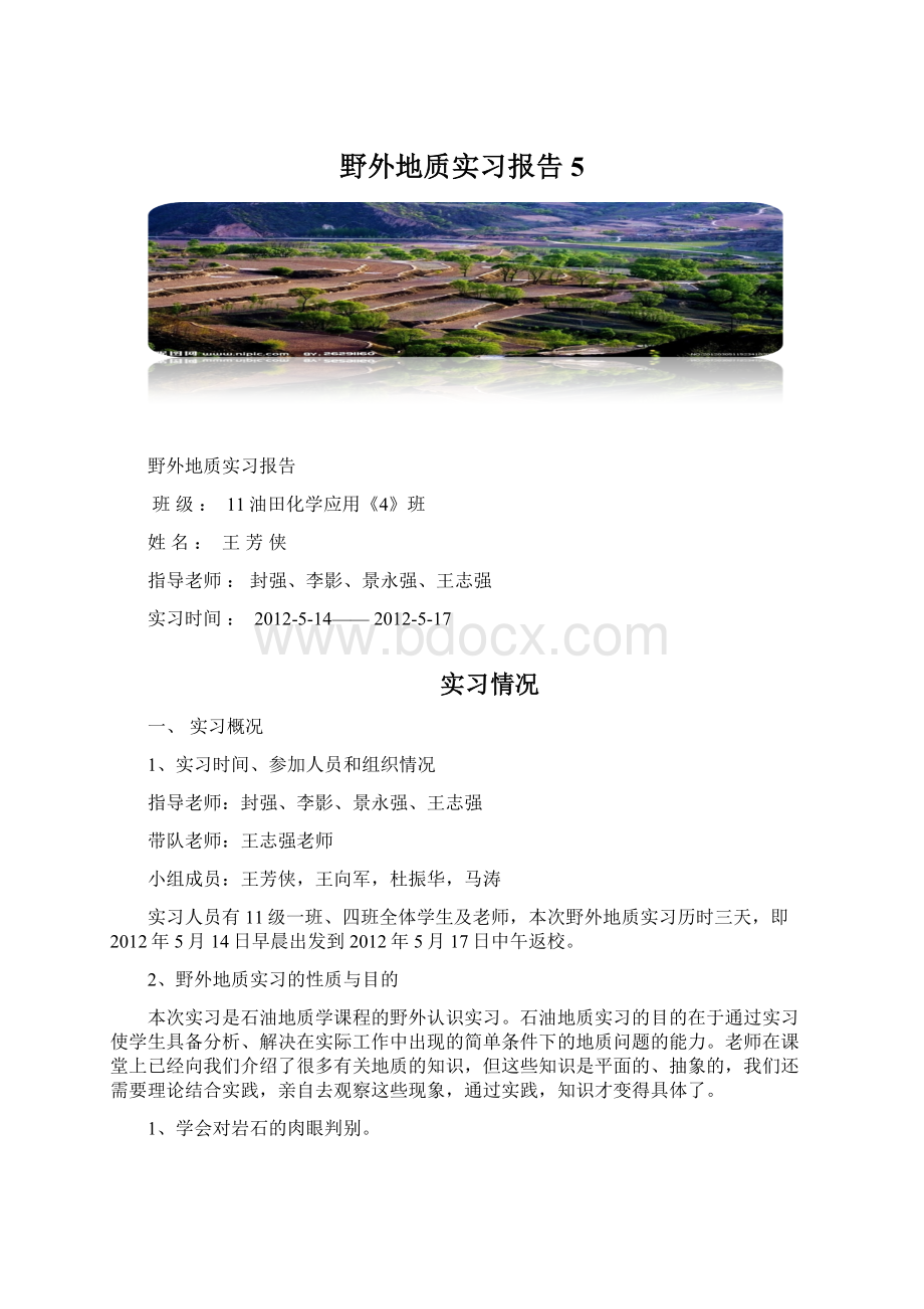 野外地质实习报告5.docx