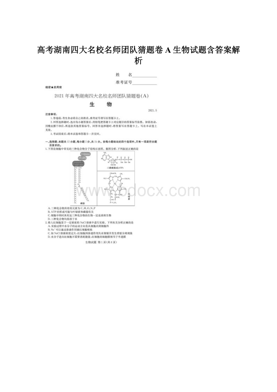 高考湖南四大名校名师团队猜题卷A生物试题含答案解析Word文件下载.docx