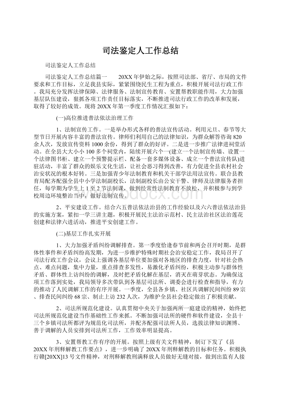 司法鉴定人工作总结文档格式.docx