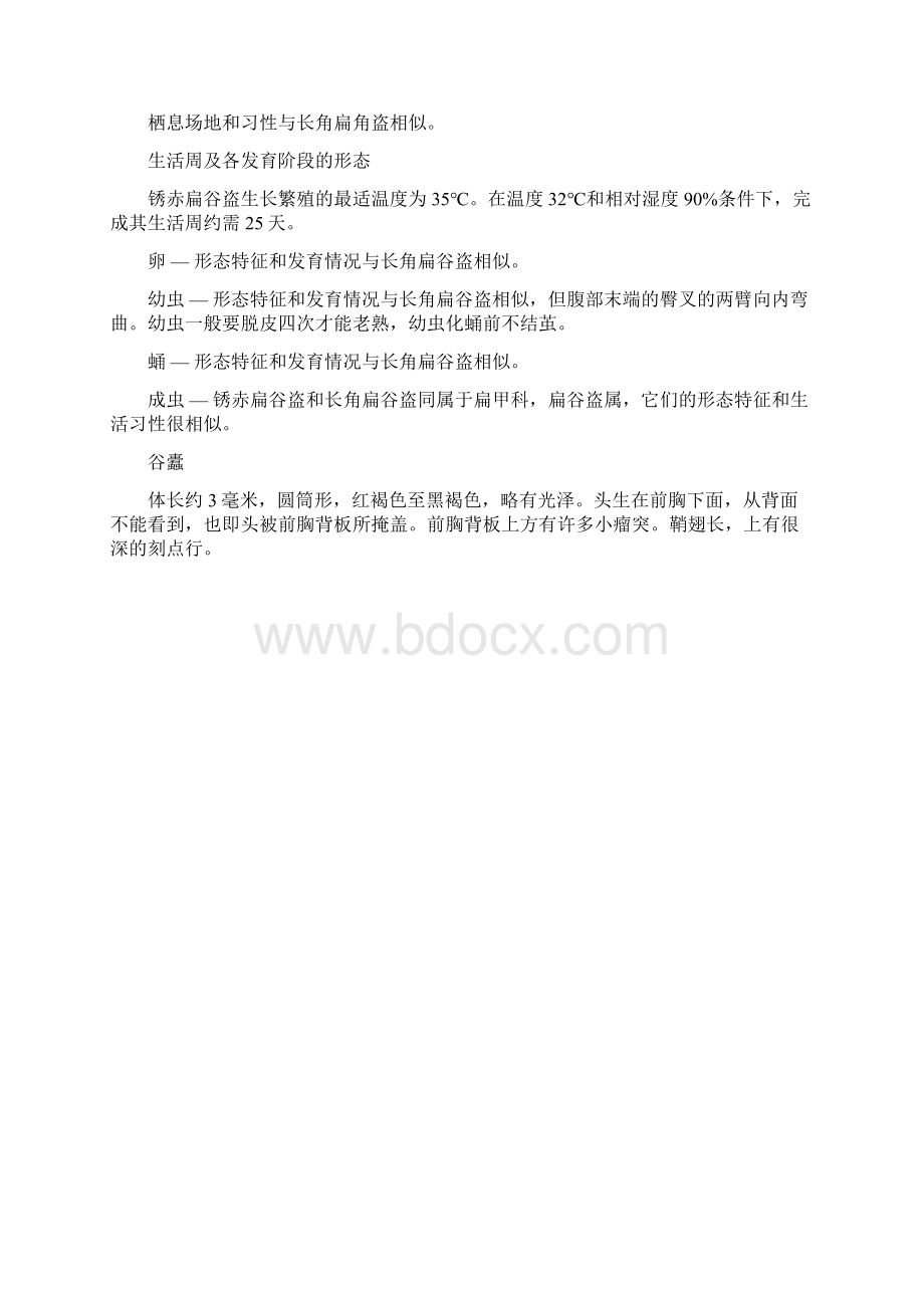 部分储粮害虫高清图.docx_第2页