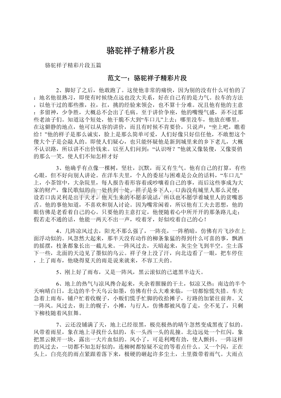 骆驼祥子精彩片段文档格式.docx