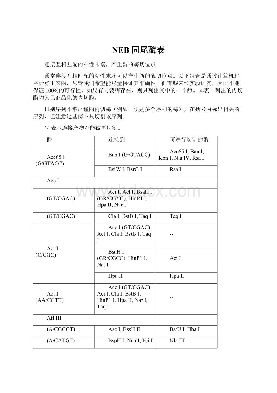 NEB 同尾酶表.docx_第1页