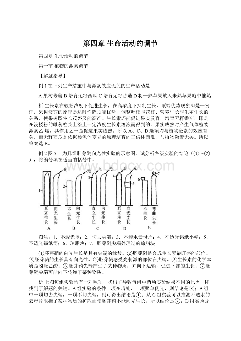 第四章生命活动的调节Word文档格式.docx