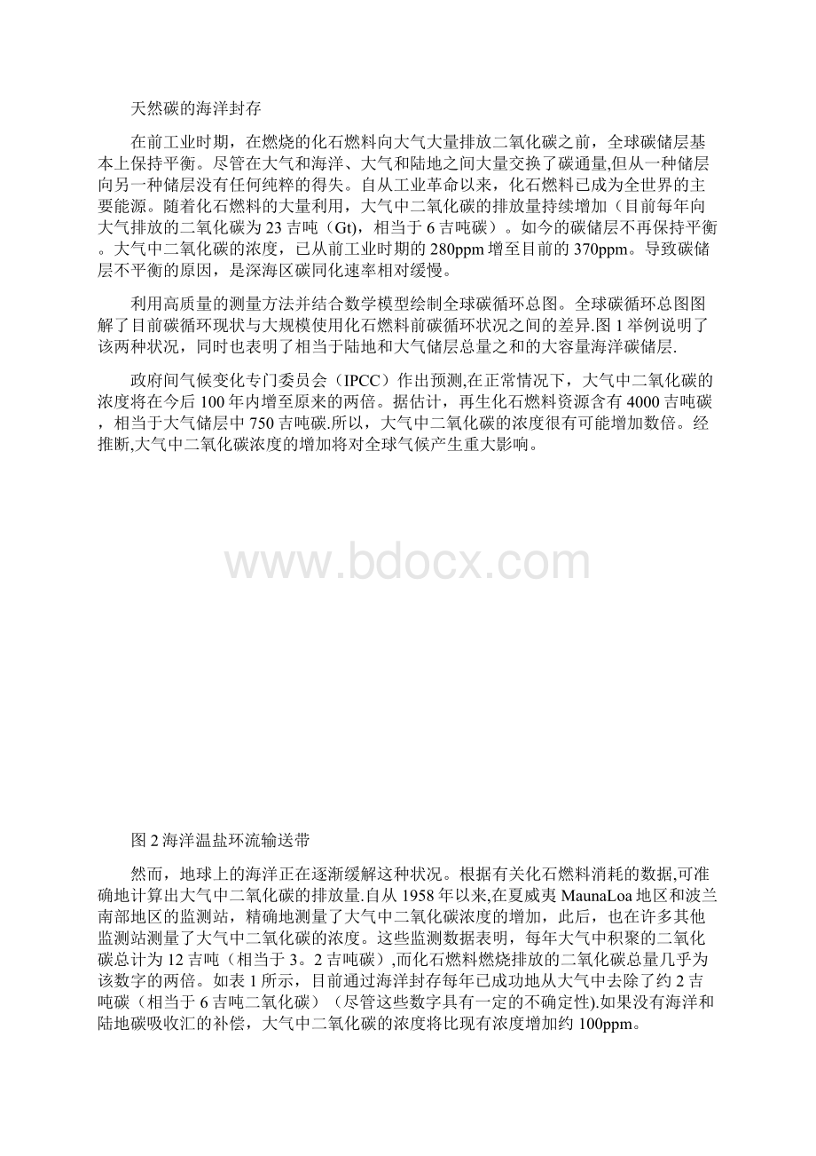 精品海洋贮藏CO2的基本知识Word格式文档下载.docx_第2页