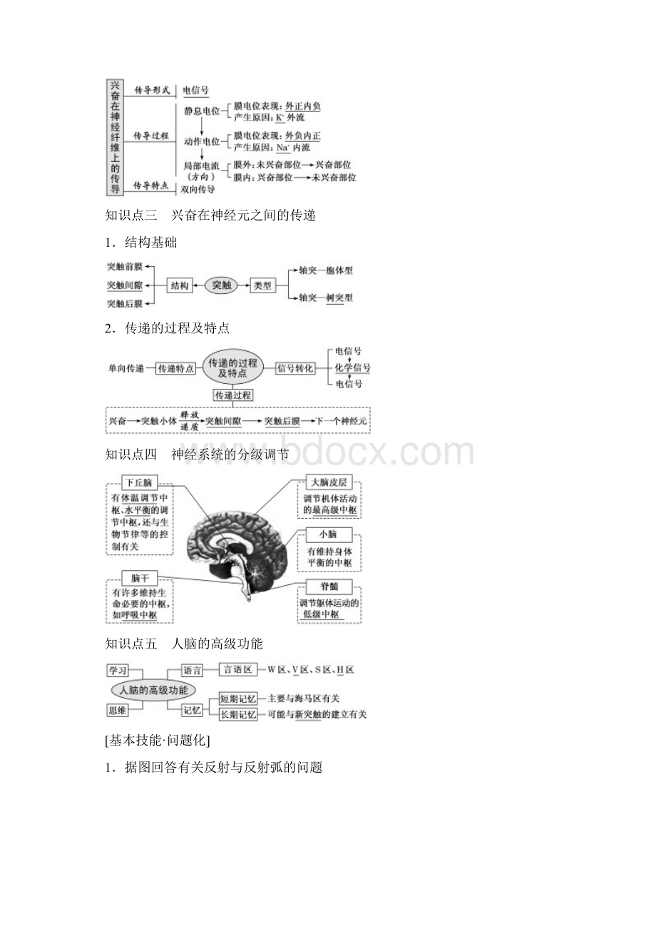 版高考生物一轮复习第八单元动物和人体生命活动的调节第二讲通过神经系统的调节精选教案.docx_第2页