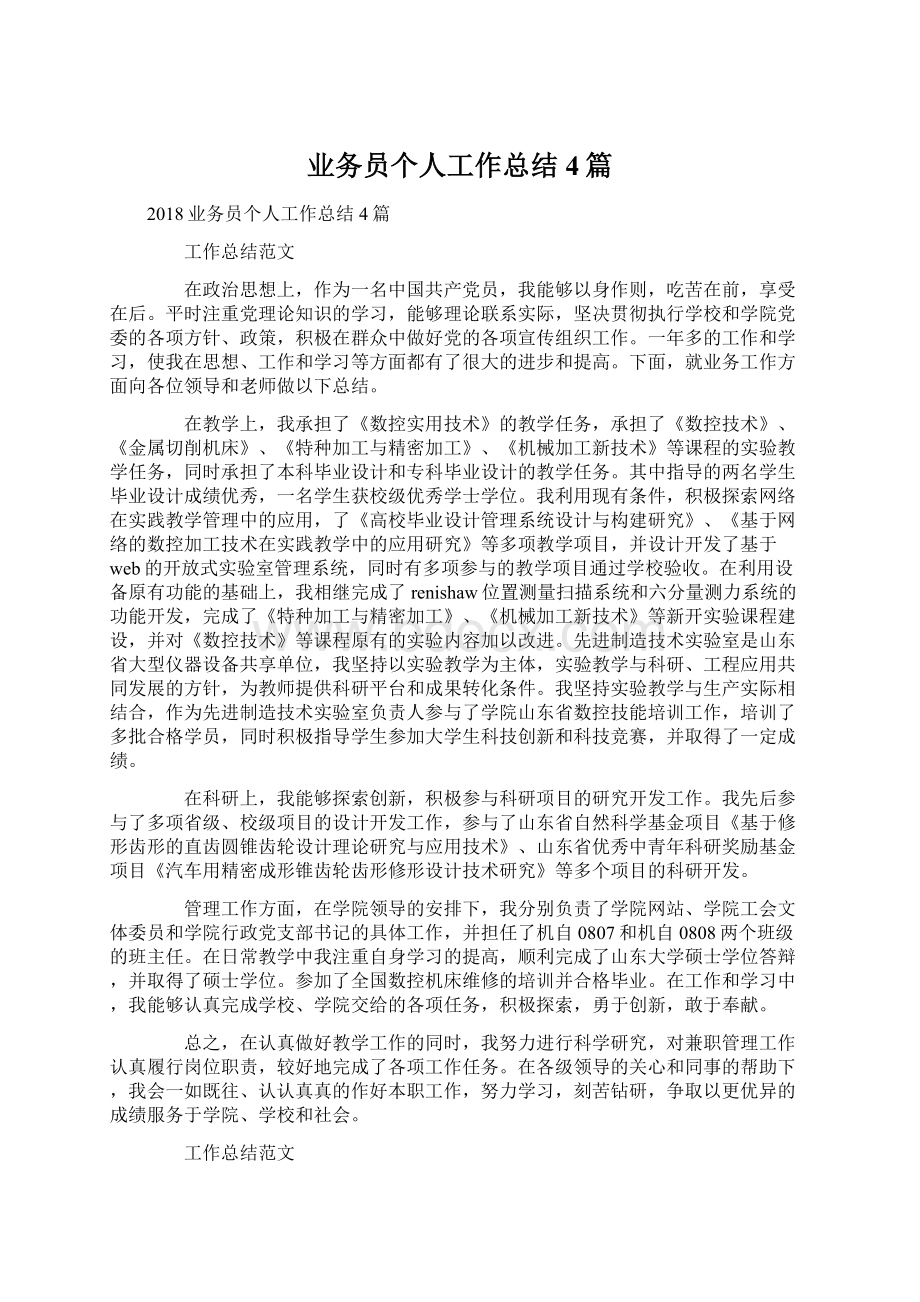 业务员个人工作总结4篇文档格式.docx