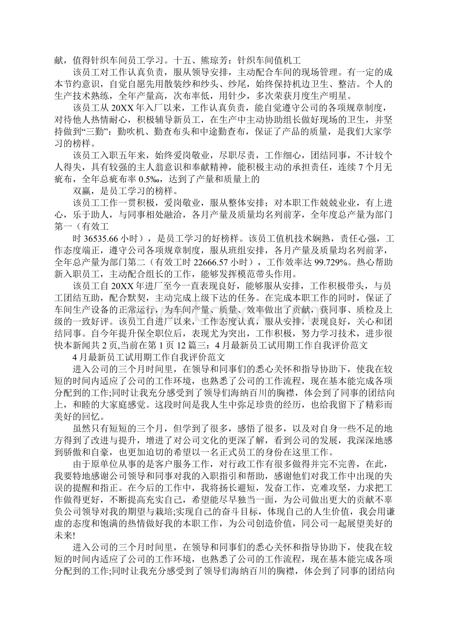 新进员工试用期评语.docx_第3页